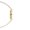 dw 28mm