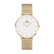 dw petite evergold